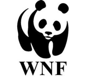 logo wnf
